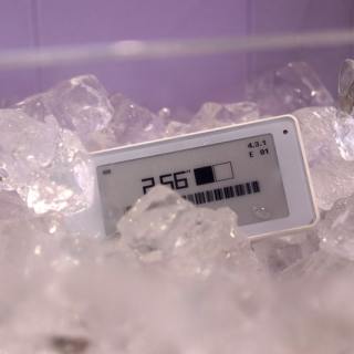 2.66 Inch Multi-language Freezer Digital Shelf Label Waterproof