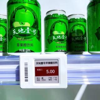 Mount Rail E-DT02 For ESL